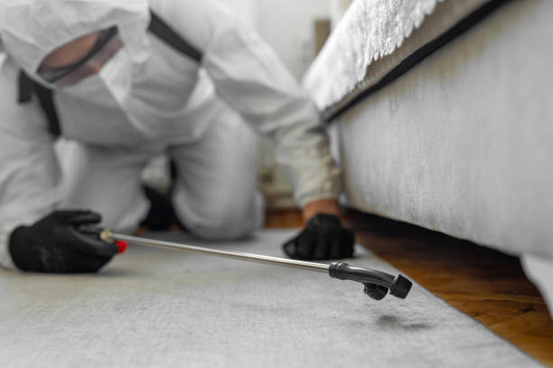 Professional Bed Bug Control technician working in Ocean Springs, MS