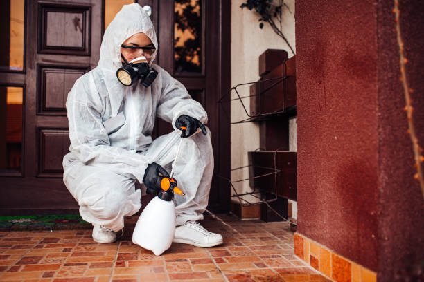Reliable Bed Bug Control contractor in Ocean Springs, MS by Nex Pest Control