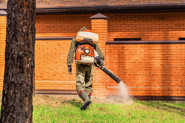 Trusted Mosquito Control service in Ocean Springs, MS - Nex Pest Control